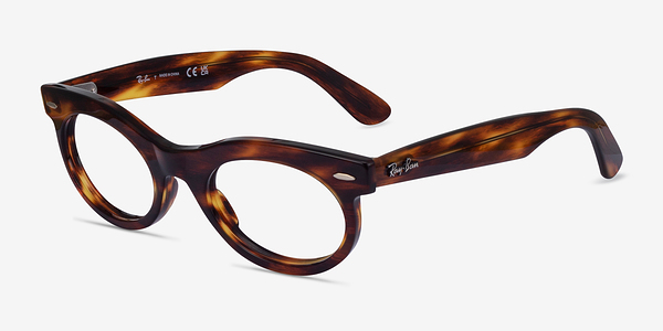 Ray-Ban RB2242V Wayfarer Oval Change