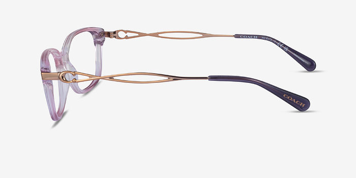 Coach HC6172 Gradient Transparent Purple Acétate Montures de lunettes de vue d'EyeBuyDirect
