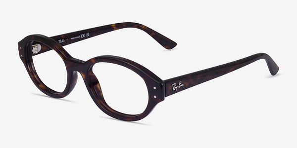 Ray-Ban RB7257 Shilo