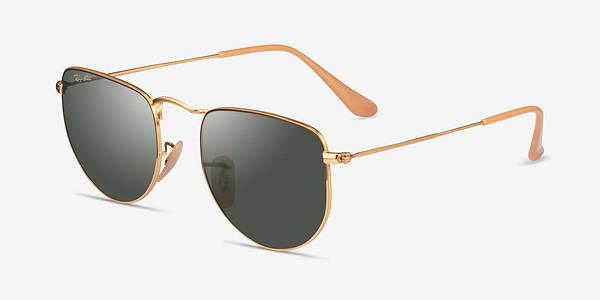 Ray-Ban RB3958 Elon