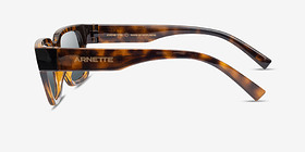 ARNETTE Bigflip Écaille Noire Plastique Soleil de Lunette de vue d'EyeBuyDirect, Vue de Côté