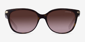 Coach HC8132 L109 Écaille Noire Acétate Soleil de Lunette de vue d'EyeBuyDirect, Vue de Face