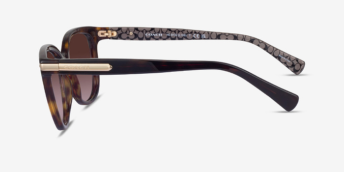 Coach HC8132 L109 Écaille Noire Acétate Soleil de Lunette de vue d'EyeBuyDirect