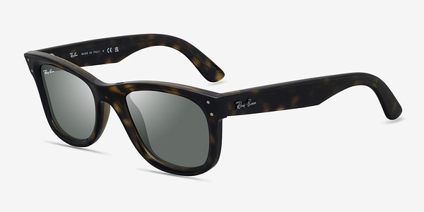 Ray-Ban RBR0502S Reverse