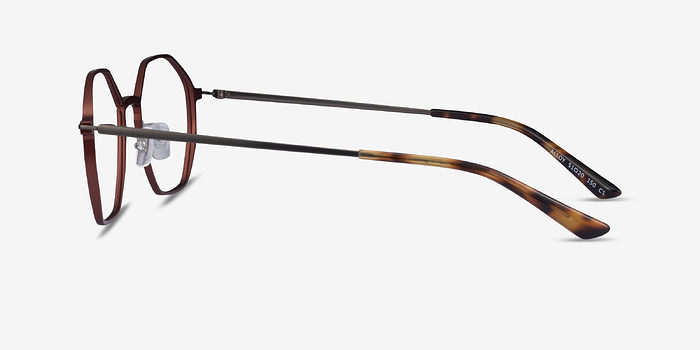 Alloy Brown & Gunmetal Titanium Montures de lunettes de vue d'EyeBuyDirect