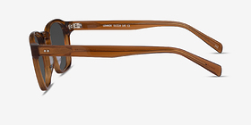 Lennox Crystal Brown Acétate Soleil de Lunette de vue d'EyeBuyDirect, Vue de Côté