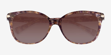 Brown Tortoise Coach HC8132 L109 -  Acetate Sunglasses