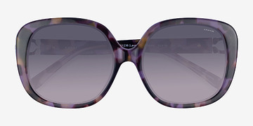 Purple Tortoise Coach HC8292 L1144 -  Acétate Lunettes de soleil