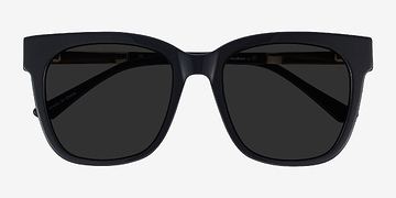 Black Erica -  Acetate, Metal Sunglasses