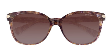 Brown Tortoise Coach HC8132 L109 -  Acétate Lunettes de soleil