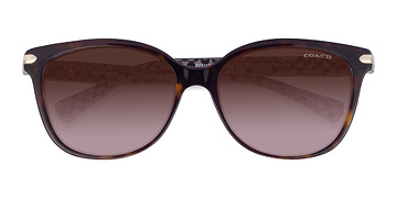 Écaille Noire Coach HC8132 L109 -  Acétate Lunettes de soleil