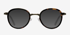 Bourgeois Écailles Métal Montures de lunettes de vue d'EyeBuyDirect, with Tinted Lenses