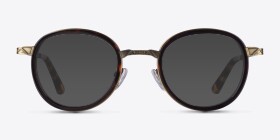 Bourgeois Écailles Métal Montures de lunettes de vue d'EyeBuyDirect, with Tinted Lenses