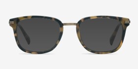 Audacity Écailles Métal Montures de lunettes de vue d'EyeBuyDirect, with Tinted Lenses