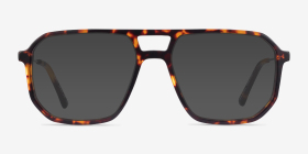 Iconic Tortoise & Silver Acetate-metal Montures de lunettes de vue d'EyeBuyDirect, with Tinted Lenses