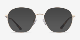 Diana Doré Titanium Montures de lunettes de vue d'EyeBuyDirect, with Tinted Lenses